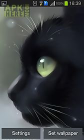 lonely black kitty live wallpaper