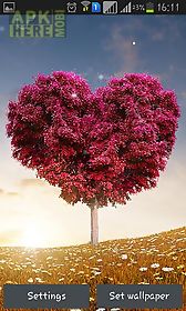 love tree by pro  live wallpaper