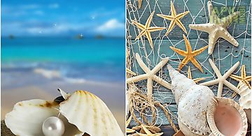 Seashells Live Wallpaper