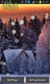 winter sunset live wallpaper