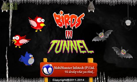 birds in tunnel - flapping