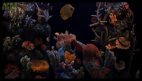 aquarium hd