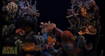 Aquarium hd