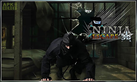 ninja assassin break prison 3d