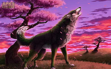 3d wolf wallpapers