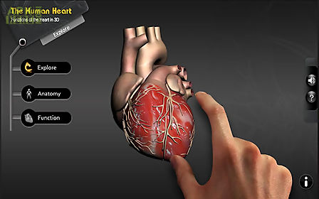 explore heart in 3d