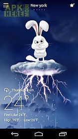 mr rabbit go weather theme