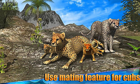 angry cheetah simulator 3d