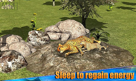 angry cheetah simulator 3d