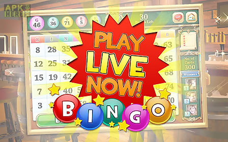 bingo bango - free bingo game