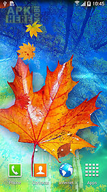 autumn leaves live wallpaper