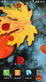 autumn leaves live wallpaper