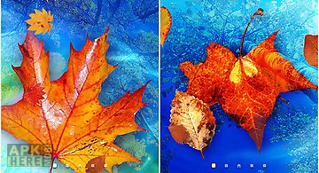 Autumn leaves Live Wallpaper