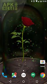 enchanted rose 3d live wallpaper