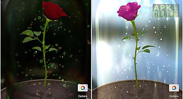 Enchanted rose 3d Live Wallpaper