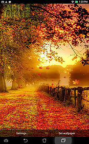 falling leaves by top  live wallpaper