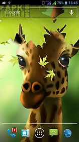 giraffe hd live wallpaper