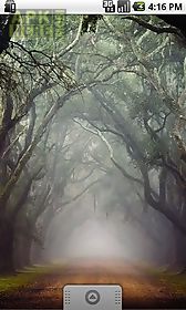 magical forest by wpstar live wallpaper