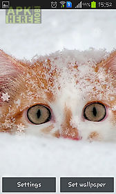 snow cats live wallpaper