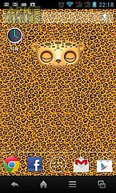 zoo: leopard live wallpaper