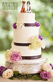 wonderful wedding cakes