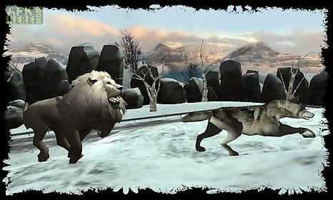 angry lion wild attack sim 3d