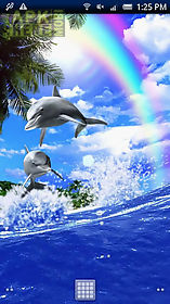 dolphin rainbow trial