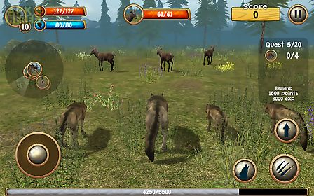 wild wolf simulator 3d