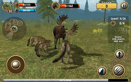 wild wolf simulator 3d