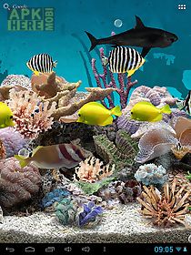 3d aquarium  live wallpaper