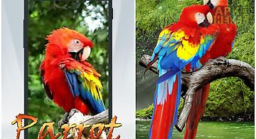 Parrot  Live Wallpaper