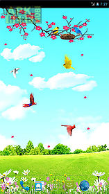 sky birds  free live wallpaper