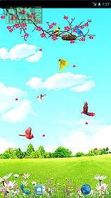 sky birds  free live wallpaper