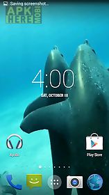 dolphins hd. video wallpaper