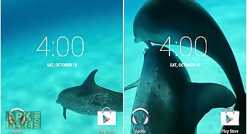 Dolphins hd. video wallpaper