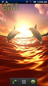 dolphin sun trial