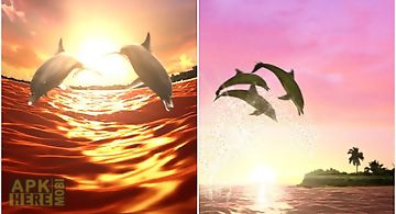 Dolphin sun trial
