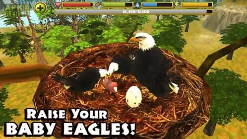 eagle simulator general