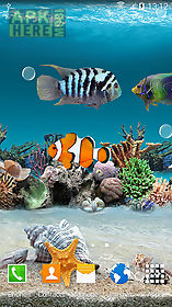 coral fish 3d live wallpaper