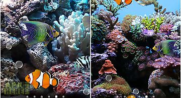 Coral fish 3d Live Wallpaper