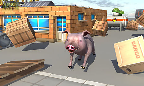 crazy piggies 3d simulator