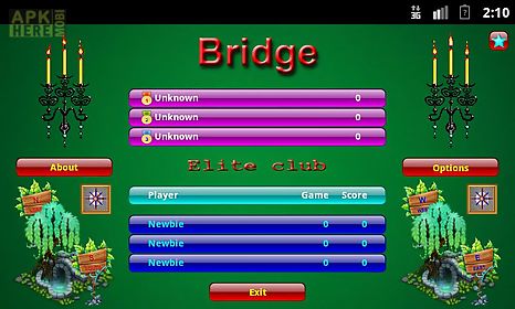 did bridge