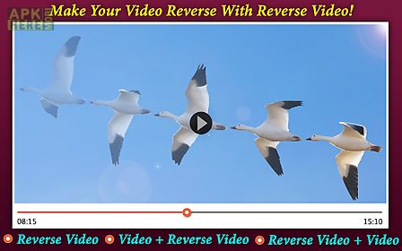 reverse video