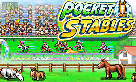 pocket stables