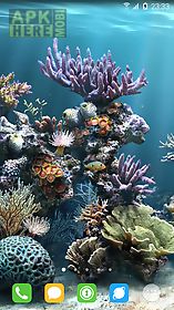 underwater world livewallpaper