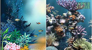 Underwater world livewallpaper