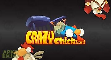 Crazy chicken