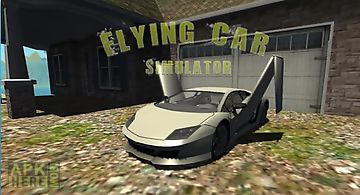 Flying car: extreme pilot
