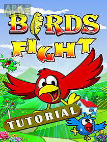 birds fight tutorial