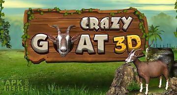 Crazy goat 3d